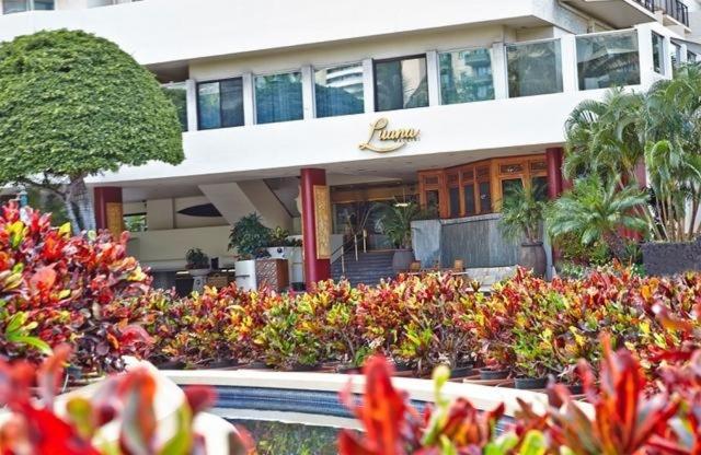 Luana Waikiki 520 Condo Honolulu Dış mekan fotoğraf